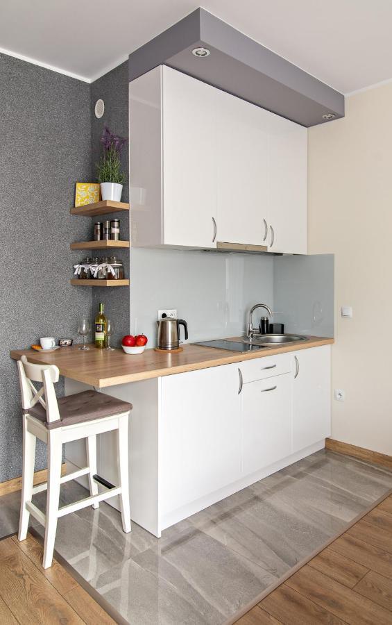 Apartamentylove - Apartament Wieckowski, Prywatny Garaz Podziemny Opcjonalnie Lodž Exteriér fotografie